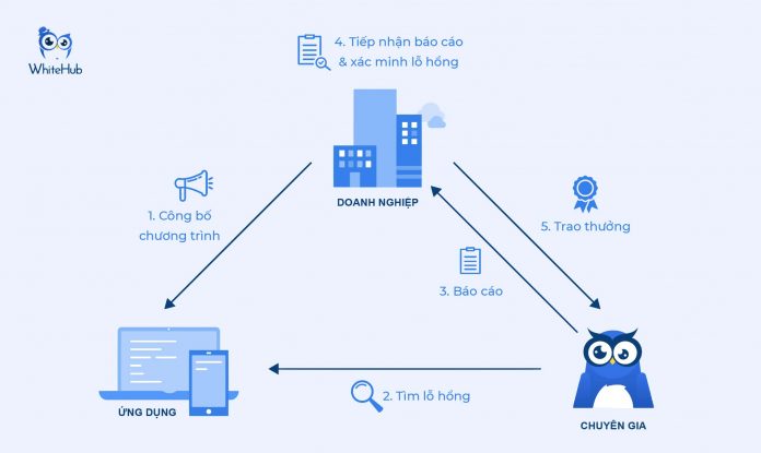 Quy trình triển khai Bug Bounty