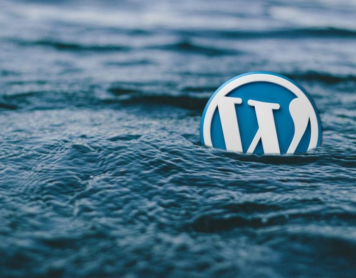 Plugin giả mạo web WordPress